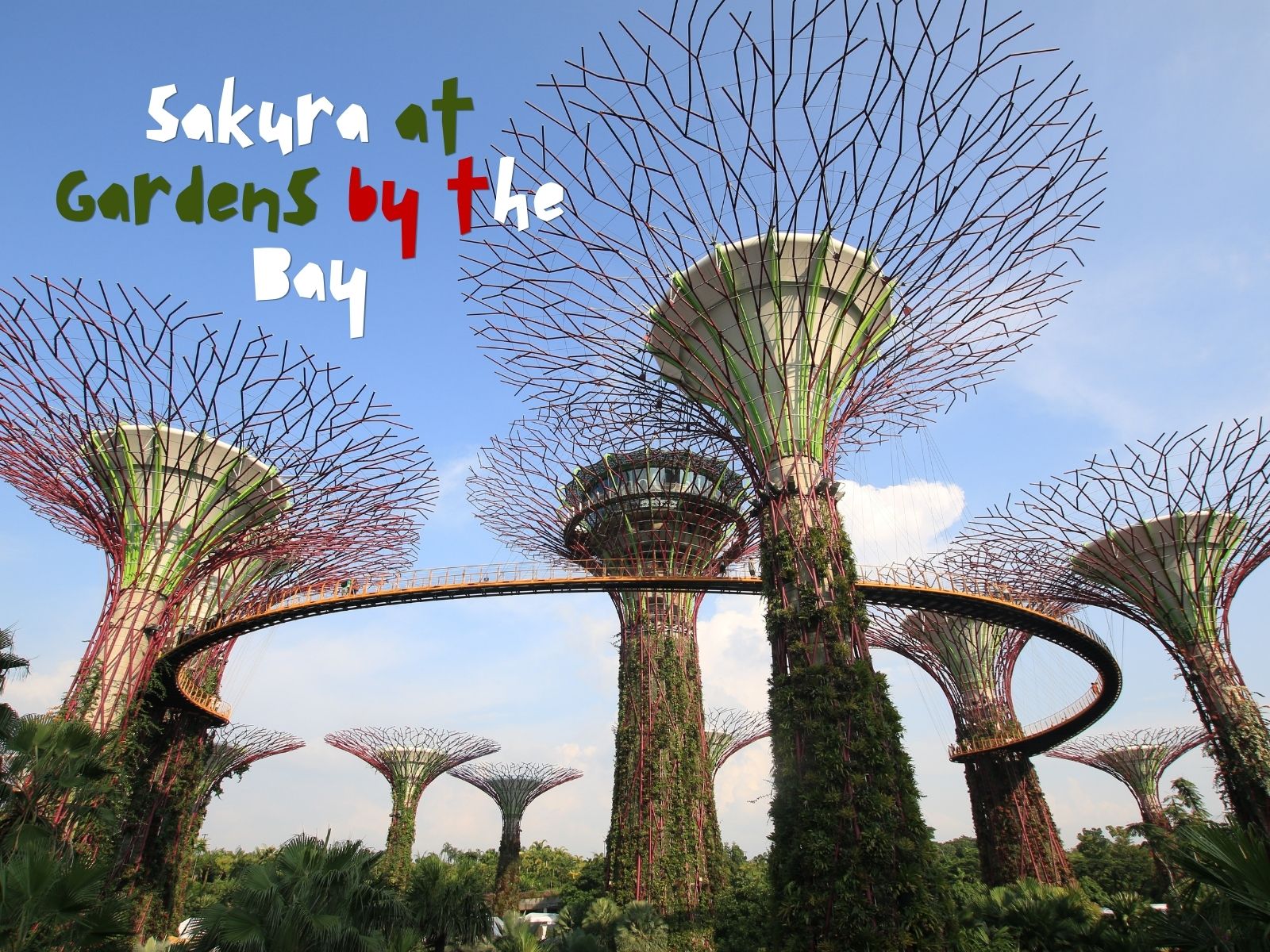 Sakura at Gardens by the Bay